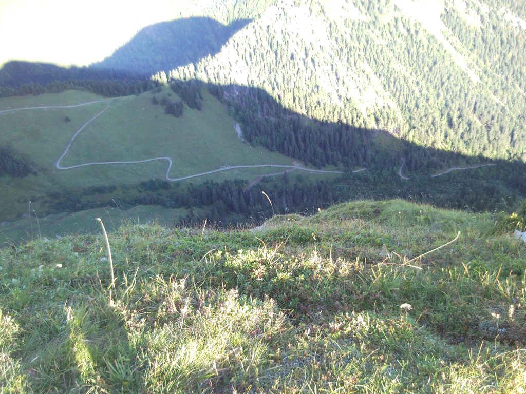 Photo de nature