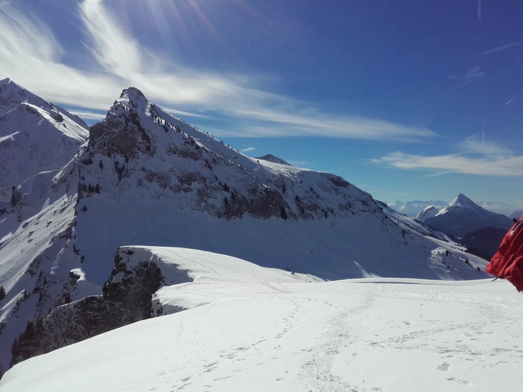 Photo de nature