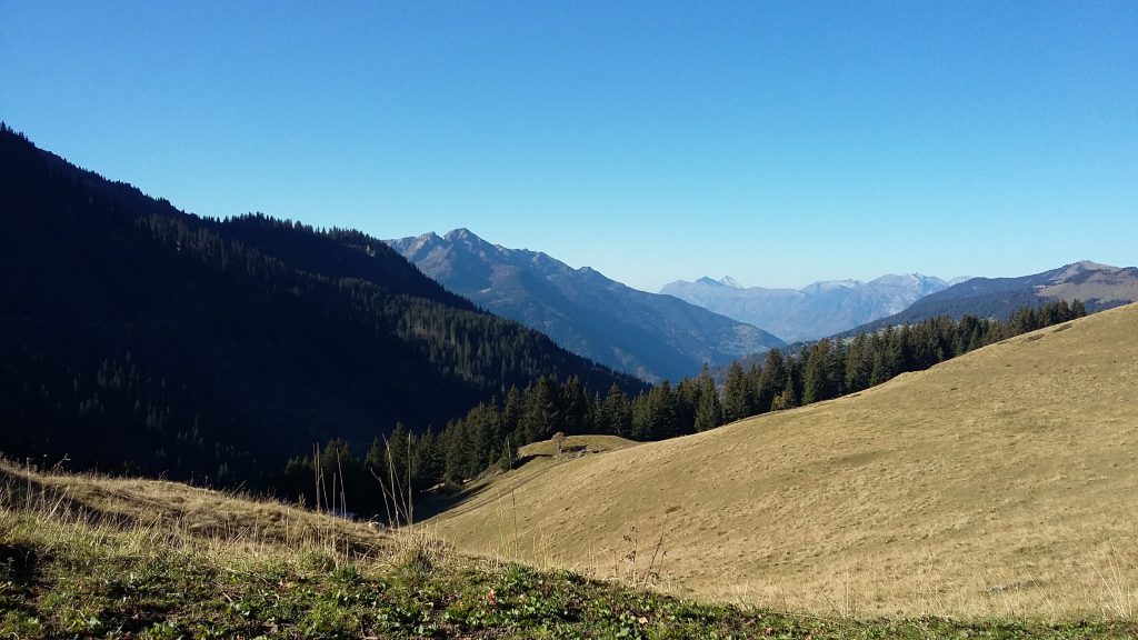Photo de nature