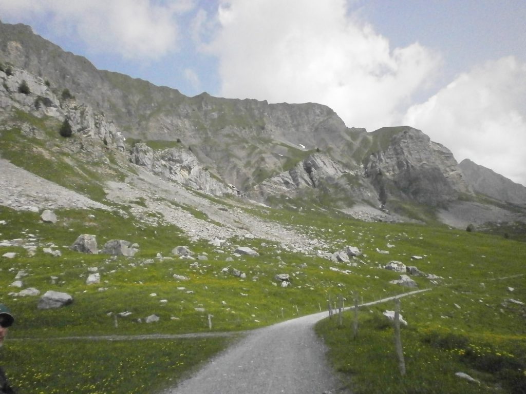 Photo de nature