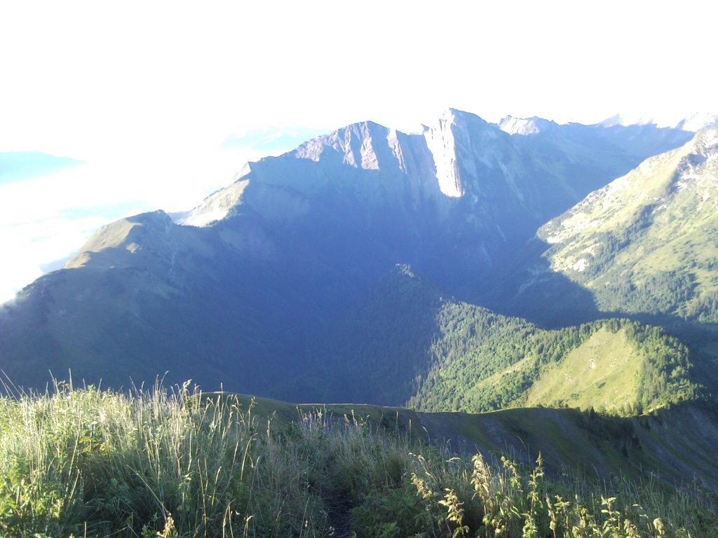 Photo de nature