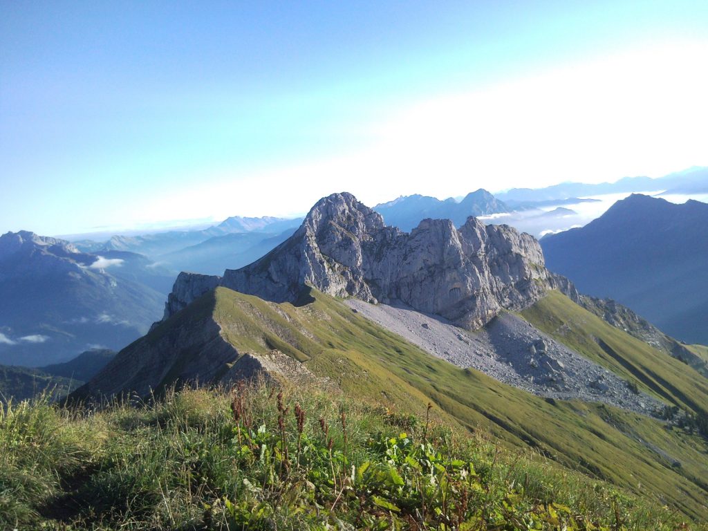 Photo de nature