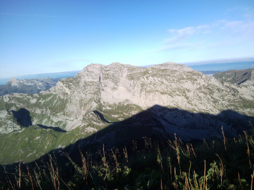 Photo de nature
