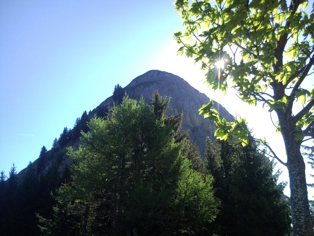 Photo de nature