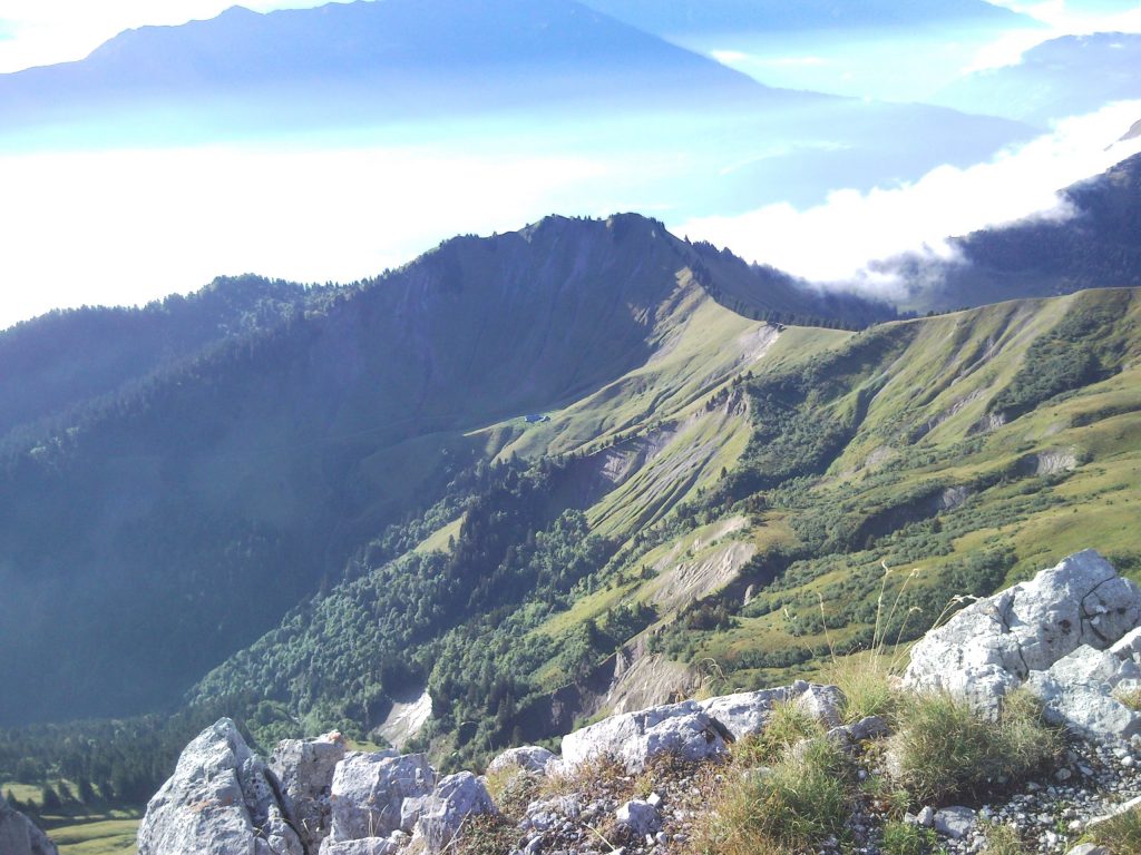 Photo de nature