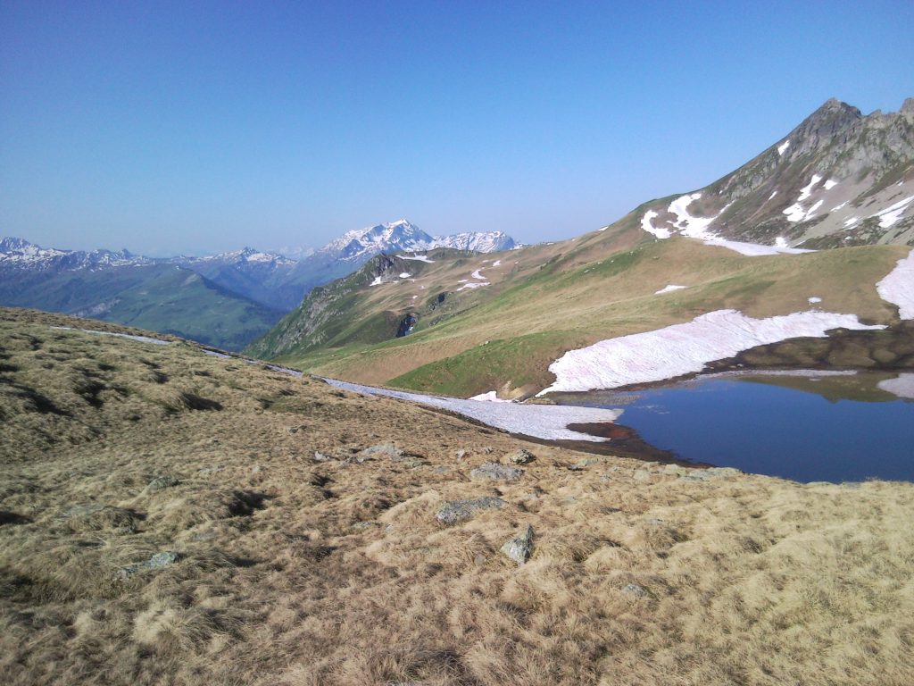 Photo de nature