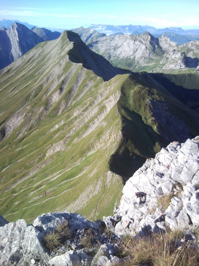 Photo de nature