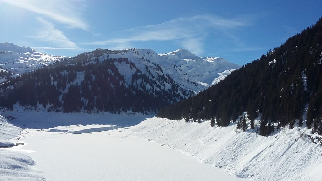 Photo de nature