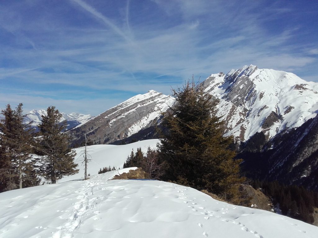 Photo de nature