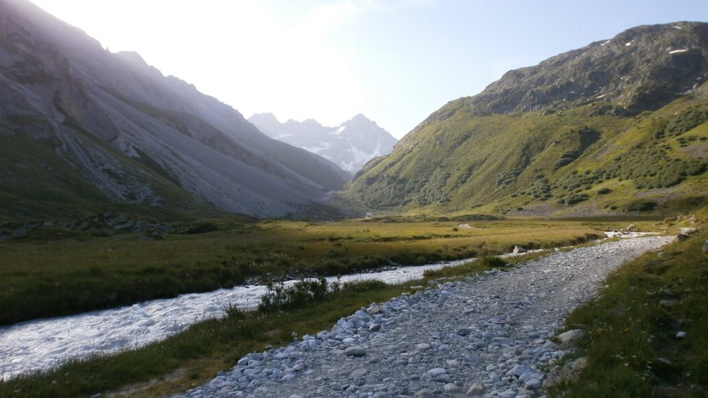 Photo de nature