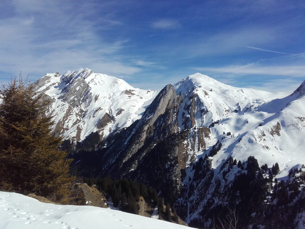Photo de nature