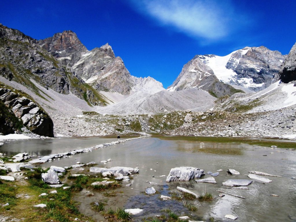Photo de nature