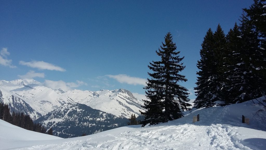 Photo de nature