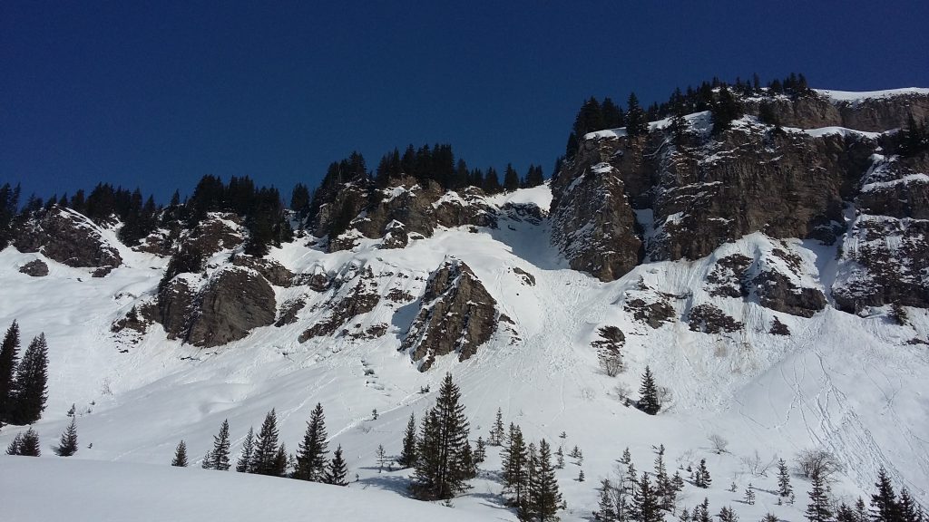 Photo de nature