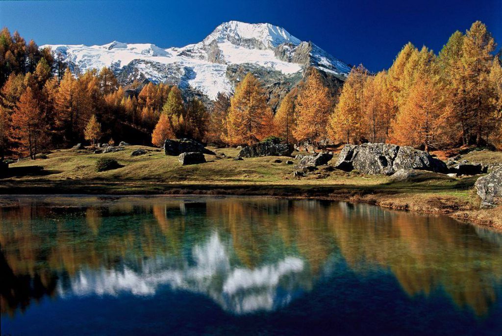 Photo de nature