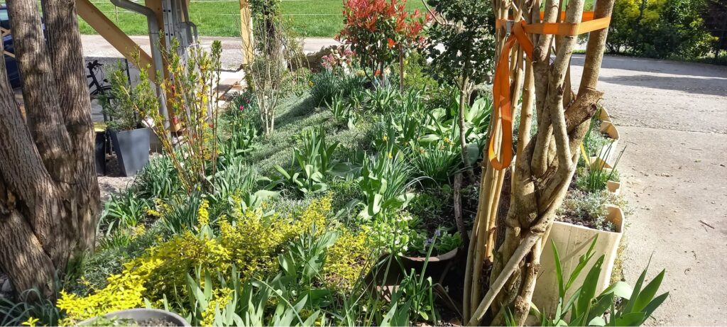 Photo de jardin