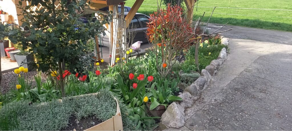 Photo de jardin