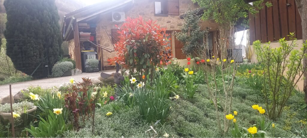 Photo de jardin