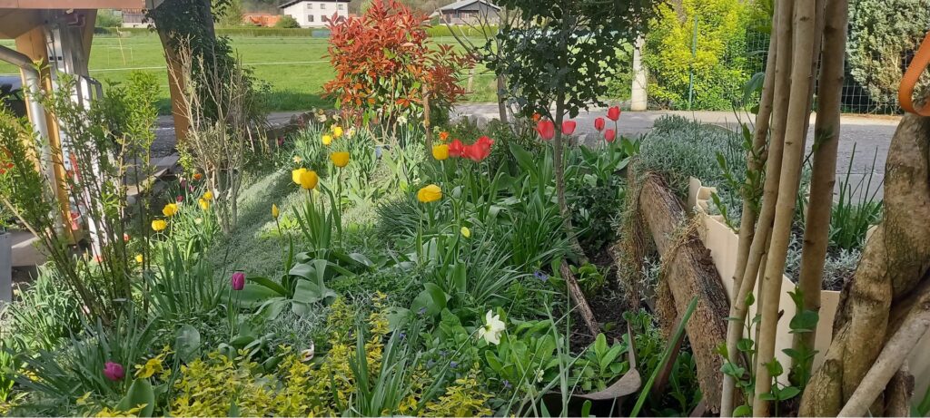 Photo de jardin